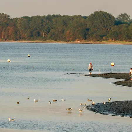 Schatzkiste 3 - Dorf 4 *